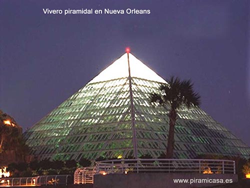 Longevidad de las plantas en pirámides